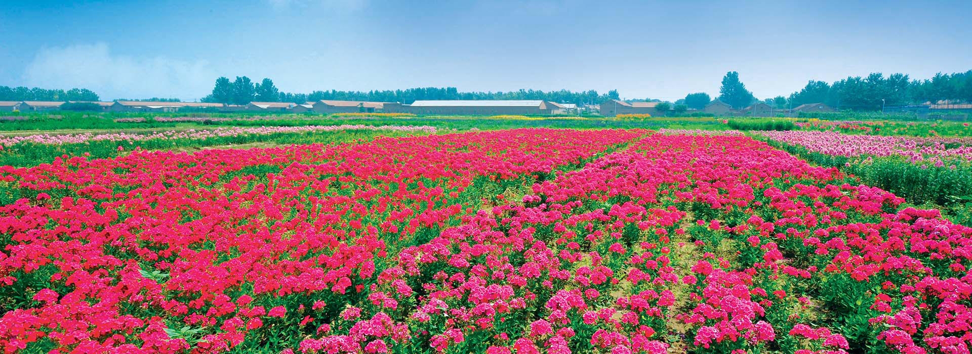 生產(chǎn)場(chǎng)景