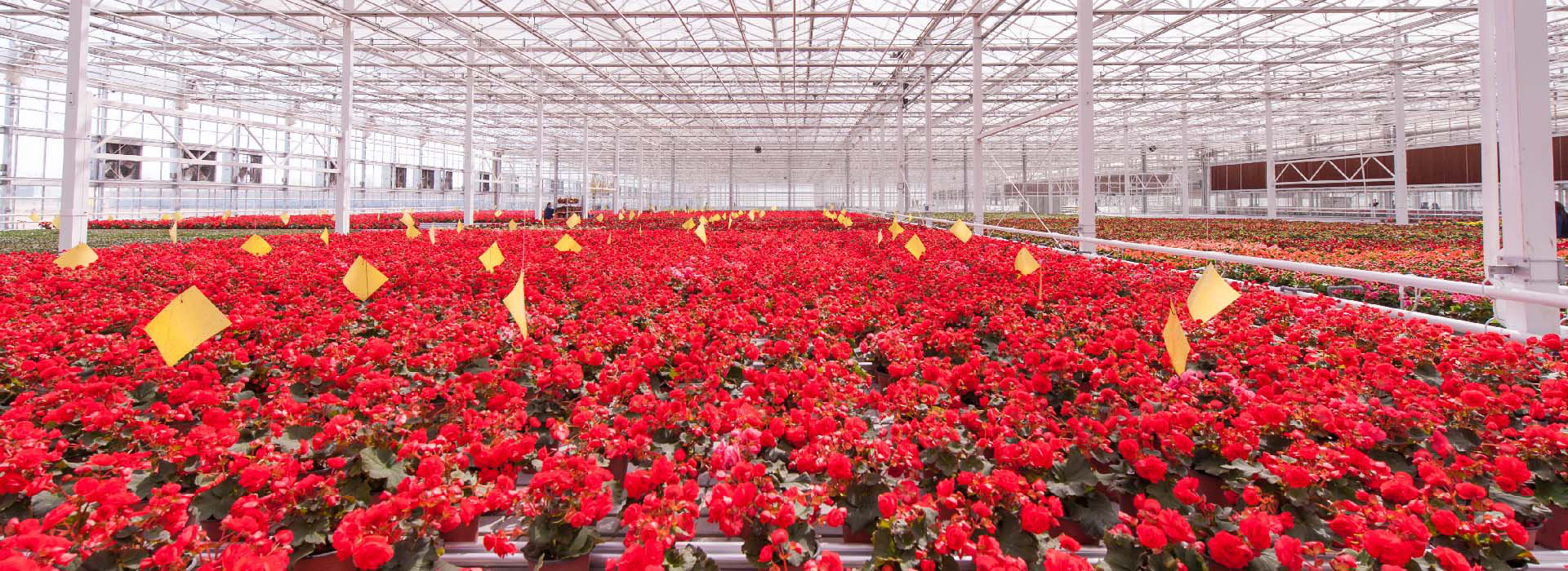 生產(chǎn)場(chǎng)景