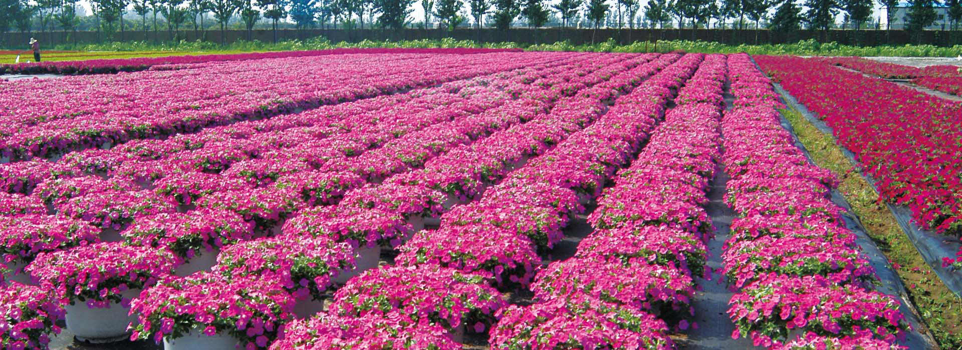 生產(chǎn)場(chǎng)景