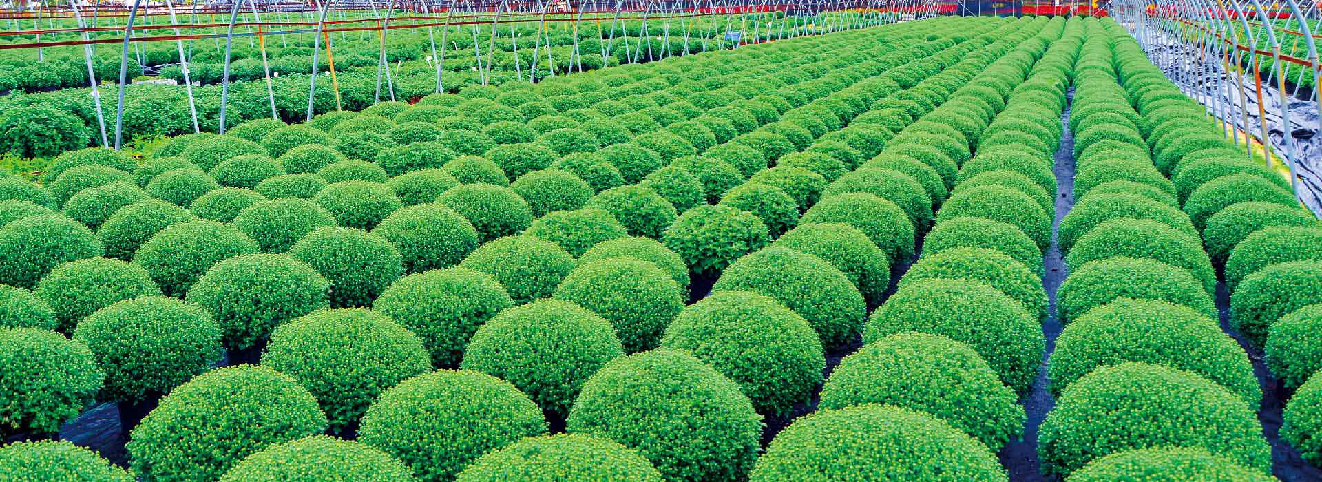 生產(chǎn)場(chǎng)景