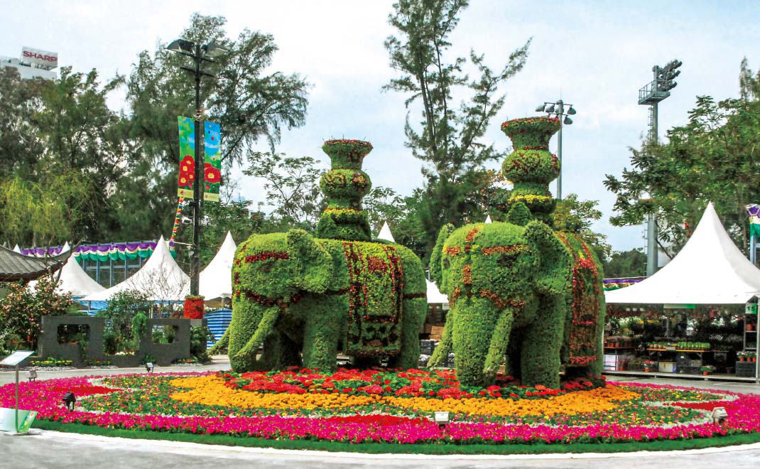 香港花展 2011年·最佳展品金獎(jiǎng)