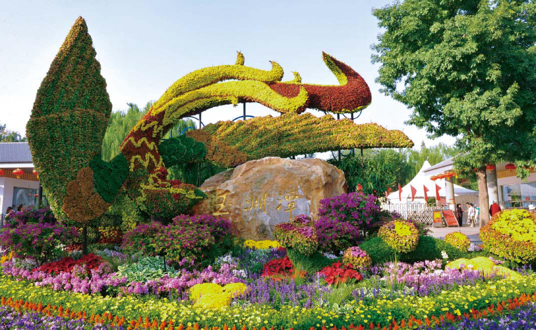 國慶六十周年花卉布置·玉淵潭“鳳翔玉淵”花壇