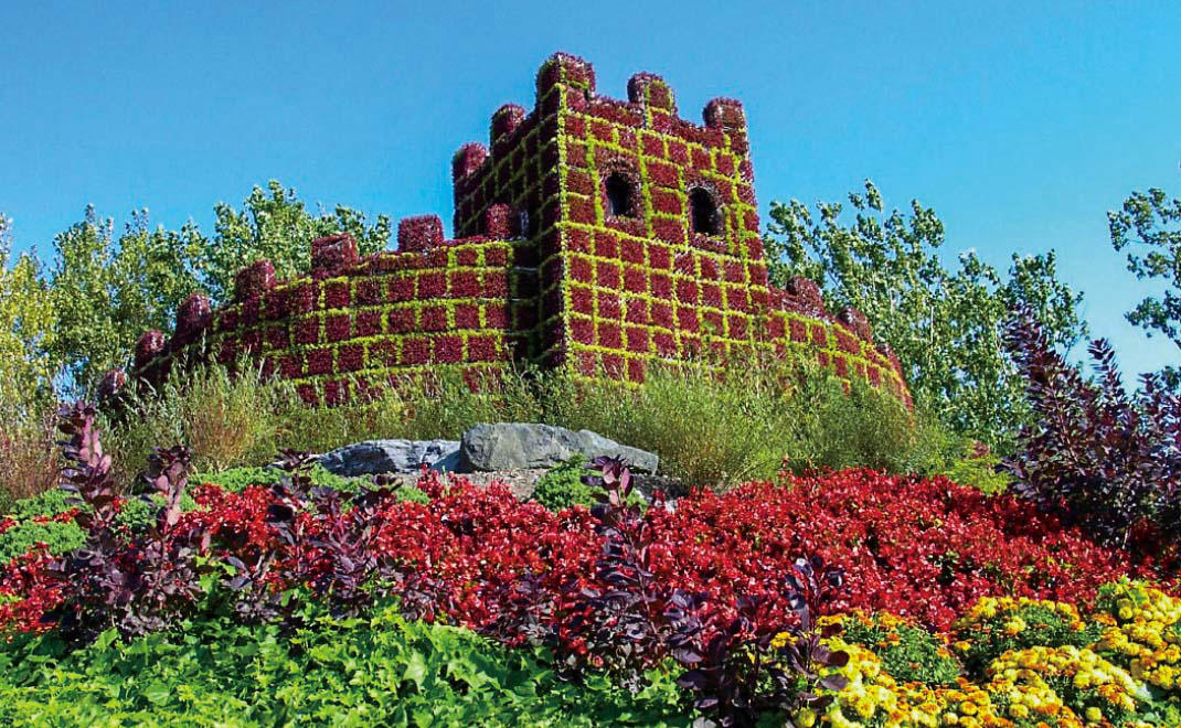 加拿大·蒙特利爾