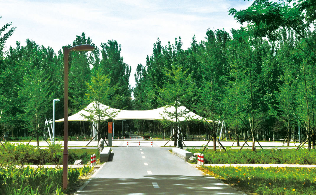 2010年·順義濱河森林公園園林綠化工程