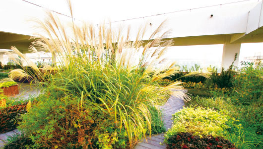 2011年·北京市園林學(xué)校屋頂花園工程