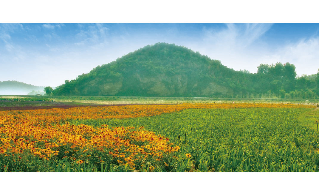 2014年·昌平區(qū)平原地區(qū)造林工程26標(biāo)段